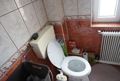 Casă individuală cu 5 camere cu Canalizare în Moisei - 30