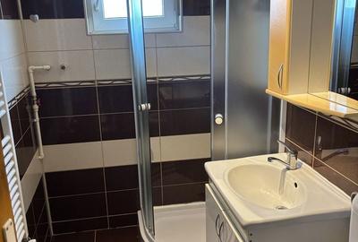 Apartament cu 2 camere semidecomandat în Tineretului - 5