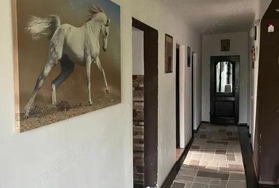 Casă în Satu Nou de Jos - 5