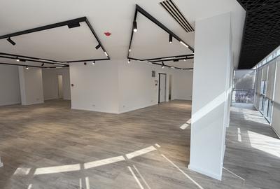 Birou, de 135.60000610352 mp, în Moșilor