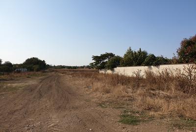 Teren Techirghiol - 4