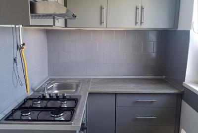 De vânzare apartament cu 2 camere în Sfântu Gheorghe - 3