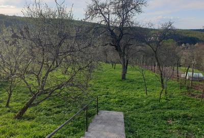 Casă cu 3 camere în Rod - 3