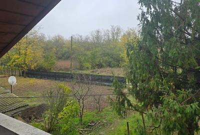 Casă individuală cu 5 camere cu Teren 3052 Mp în Dârvari - 10