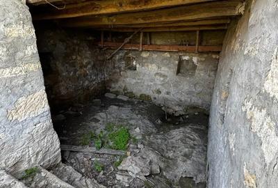 Casa batraneasca de vanzare - 3