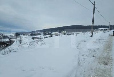 Teren de 990 mp, în Jelna - 3