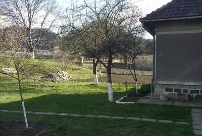 Casă cu 3 camere în Criș - 5