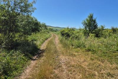 Teren de 5000 mp, în Hamba - 3
