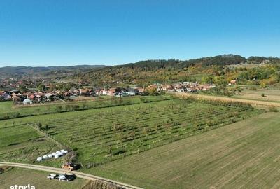 Spațiu comercial, în Aușeu - 2