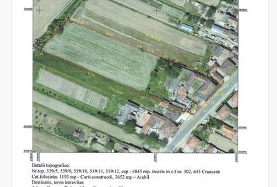 Casă cu 6 camere cu Teren 4845 Mp în Dobrești - 6