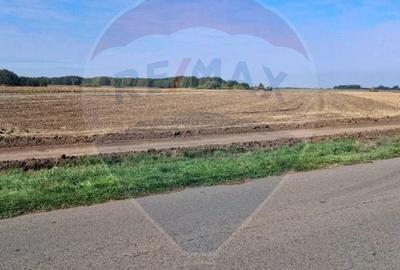 Teren agricol extravilan de 21177 mp, în Santăul Mic - 1