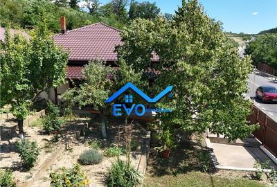 Casa de Uricani, Miroslava, Iasi - 0 Comision, 1000 mp Tere - 11