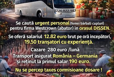 Casă cu 1 camere în Central - 2