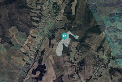 Teren arabil de 40 hectare in Seca?, Timi? - 2