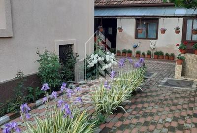 Casa individuala plus anexa, zona centrala in Faget - 5