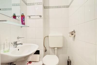 Apartament de 3 camere - Parcul Circului - 10