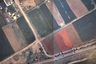 Vanzare teren casa la padure Moara Vlasiei - 1