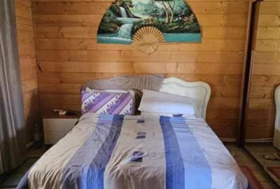 HORIA - 3 CAMERE ,SUPRAFATA 100 MP,TEREN 3000 MP CU DESCHIDE - 15