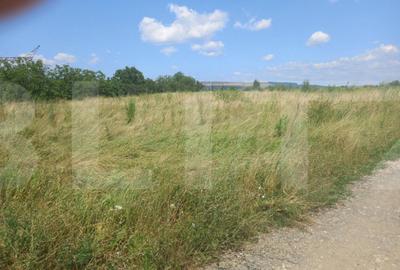 Teren de 2500 mp, în Sopor - 5