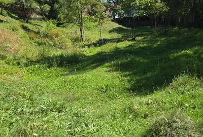 Spațiu comercial, în Sadova - 6