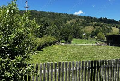 Teren Tulghes Harghita 33.300 mp - 3