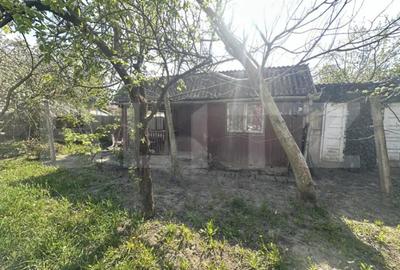 Teren în Bercu Roșu - 4