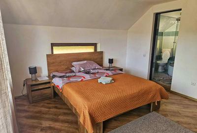 Cabana de inchiriat Cluj - 5