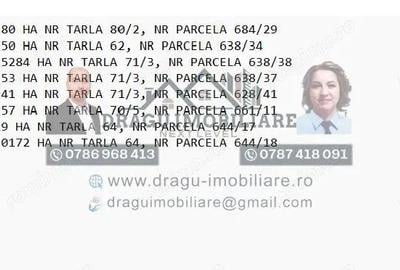 Teren de 75000 mp, în Munteni - 1