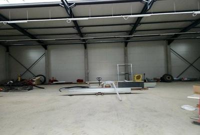 Pantelimon DN3 hala 600 mp - 9