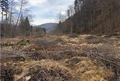 Teren de 39000 mp, în Azuga - 3