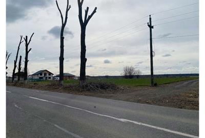 Teren intravilan 550 mp – la șosea principală, utilități la limita proprietatii - 9