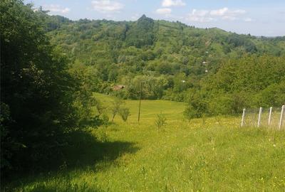 Teren de 5531 mp, în Drajna - 4
