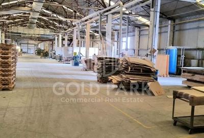 Hala in curs de Renovare-Calea Baciului-Suprafete intre 300-800 mp - 4