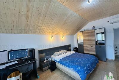 Vila exclusivista 6 camere, 330 mp construiti, 700 mp curte amenajata, ROSU - 19