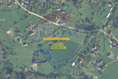 Teren 2,000mp Copalnic-Manastur / Strada Principala - 8