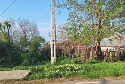Teren de 478 mp, în Fierbinții de Sus - 3