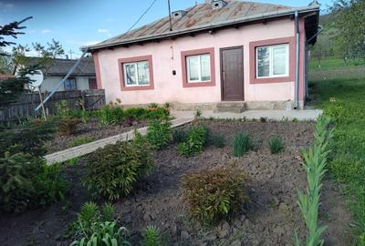 Casă cu 3 camere în Andrieșeni - 8
