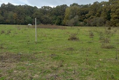 Spațiu comercial, în Hărman - 4