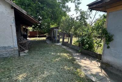 Casa de vanzare, teren 1400mp | Maldaeni, Teleorman - 4