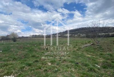 Spațiu comercial, în Gușterița - 4