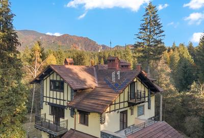 Casă individuală cu 6 camere cu Teren 3677 Mp în Timișu de Sus - 3