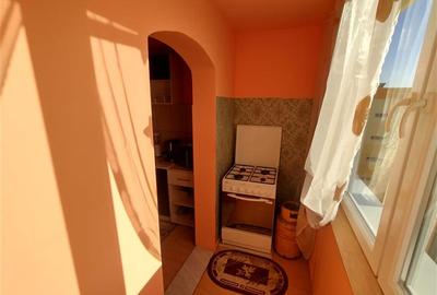 Apartament cu 2 camere decomandat, mobilat în Vest - 17