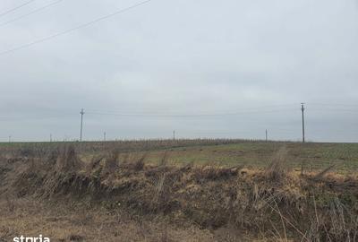 Teren de 140000 mp, în Albești - 1