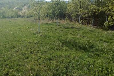 Teren de 7700 mp, în Dumbrăveni - 5