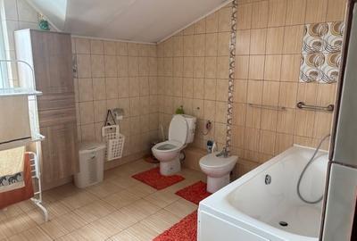 Casa parc Bazilescu - 10