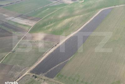 Teren de 45000 mp, în Dobrovăț - 5