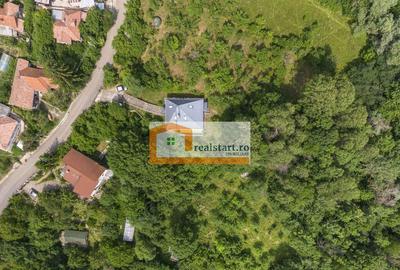 Cornu, Vedere la Padure, Vila D+P+M, 6600mp teren, 4 parcare - 1