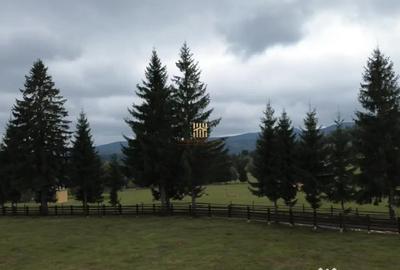 Teren de 16813 mp, în Fundu Moldovei - 13