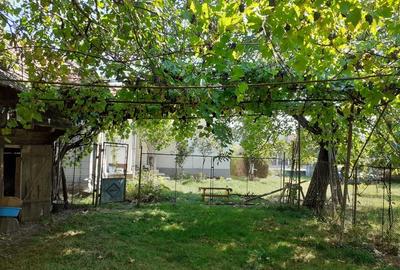 Casă cu 4 camere în Rușii-Munți - 8