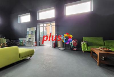 Show room - 250 mp #Plus-imo.ro - 3